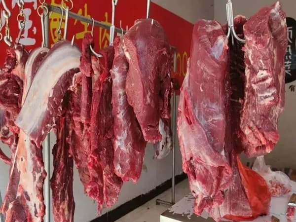 Chọn thịt bò phù hợp – yếu tố tiên quyết