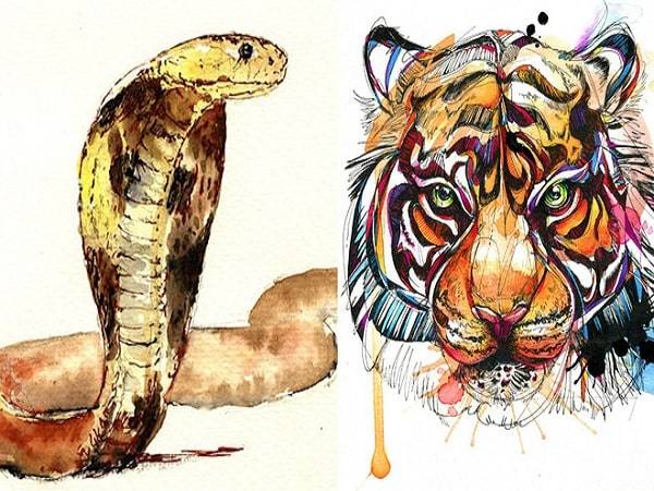 Tuổi Dần và tuổi Tỵ có hợp nhau không?