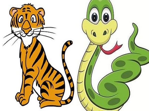 Tuổi Dần và tuổi Tỵ có hợp nhau không?
