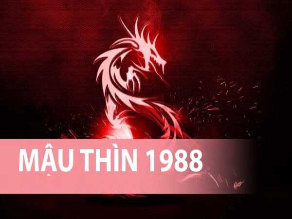 Tổng quan tuổi Mậu Thìn