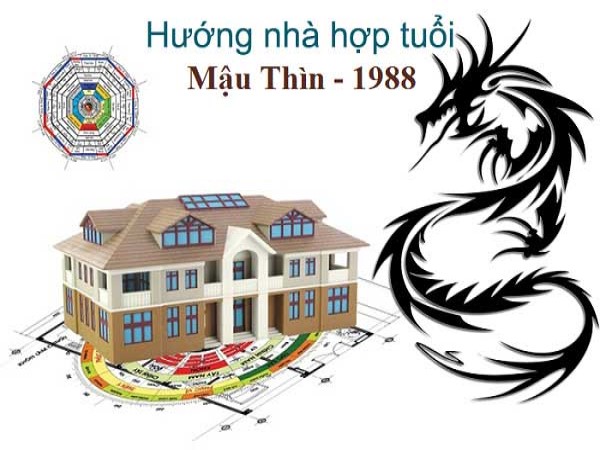 Sinh năm 1988 hợp hướng nào?