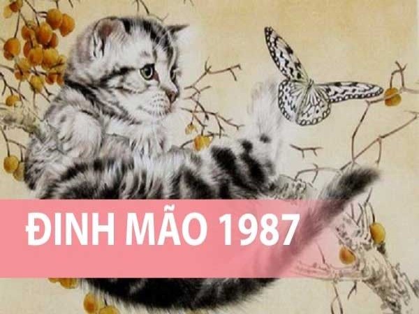 Tổng quan về tuổi Đinh Mão 1987