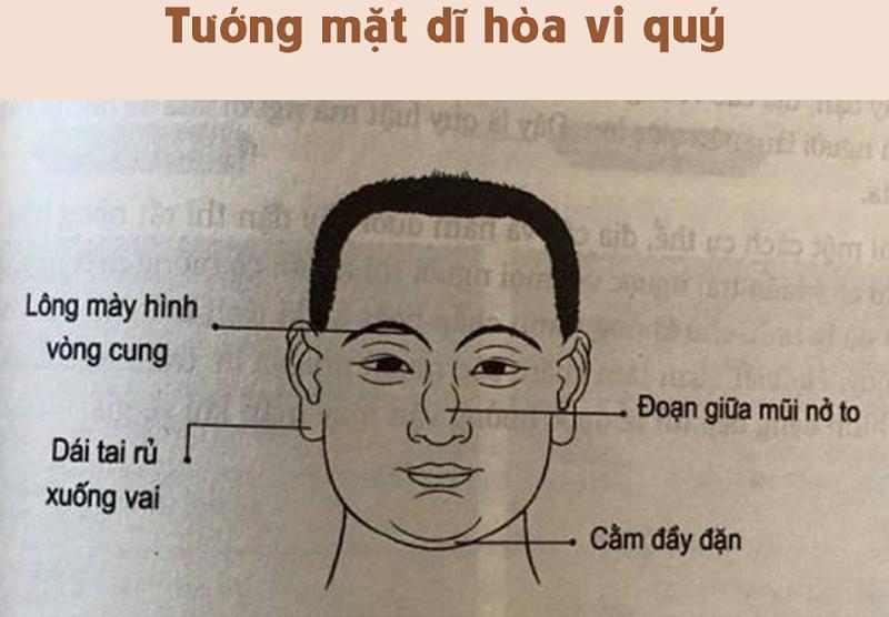 Tướng Mặt “Dĩ Hòa Vi Quý”
