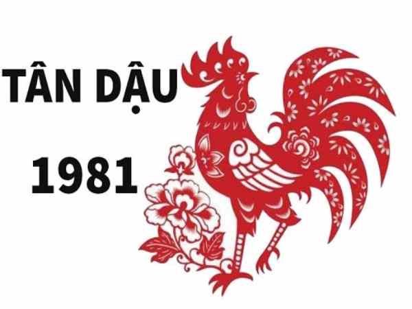  Đôi nét về tuổi Tân Dậu 1981