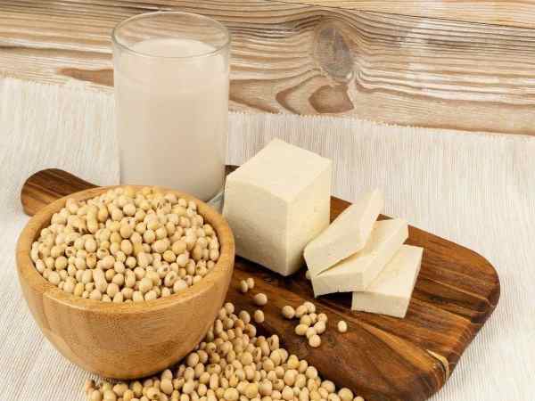 Những thực phẩm kỵ với cải bó xôi để tránh ảnh hưởng đến sức khỏe