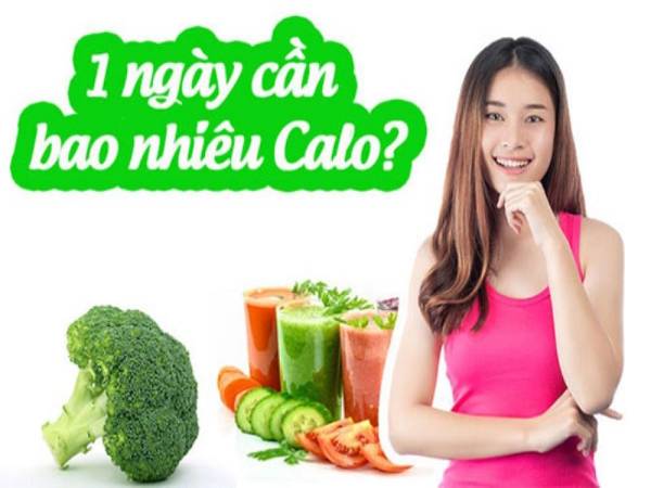 Một ngày cần bao nhiêu calo?