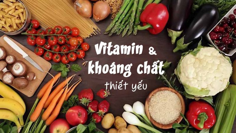 Bổ sung vitamin và khoáng chất