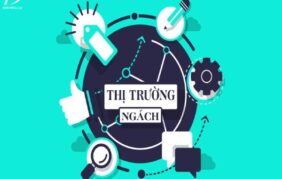 Thị trường ngách là gì