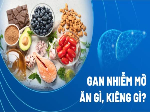 Gan nhiễm mỡ ăn gì