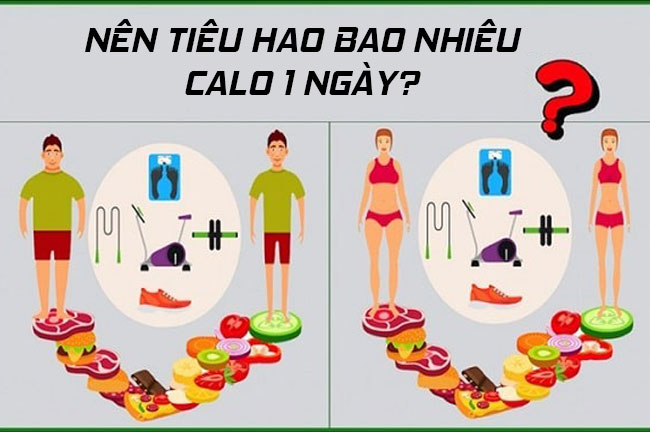 Calo cần nạp để giảm cân hoặc tăng cân