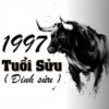 đinh sửu