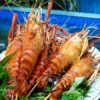 Chia sẻ tôm càng xanh làm món gì ngon chiêu đãi cả nhà