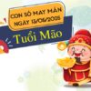 Con số vàng tuổi Mão 13/5/2025 chiêu tài vận về nhà