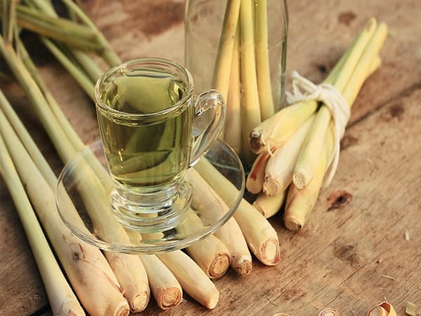 Tìm hiểu Sả có tác dụng gì