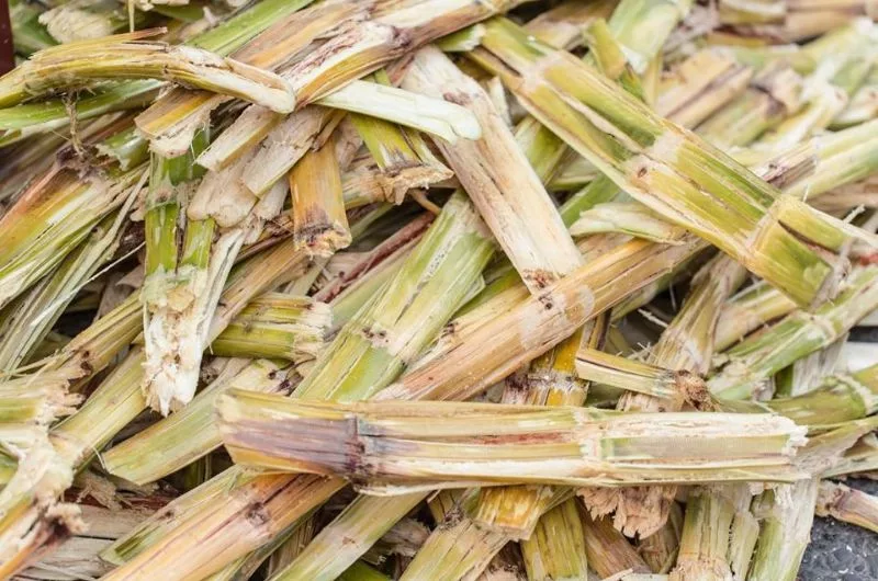Sản xuất sản phẩm ăn uống