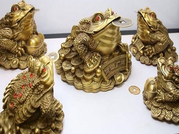 Cóc ngậm tiền nên đặt mấy con?
