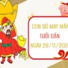 Giải mã con số may mắn tuổi Dần ngày 29/11/2025 chi tiết